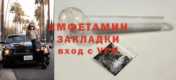 индика Богданович