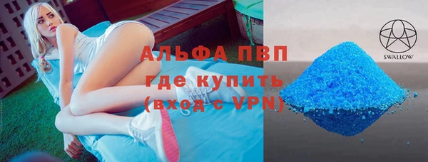 индика Богданович