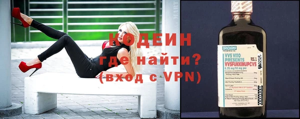 индика Богданович