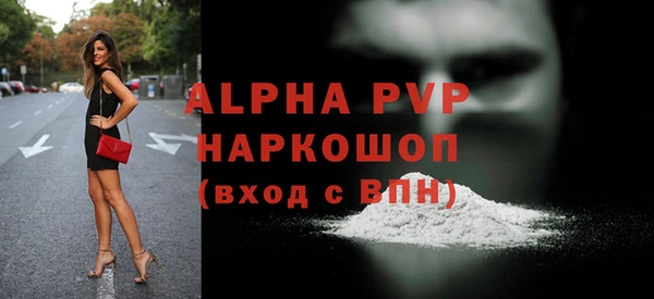 индика Богданович