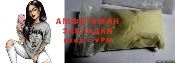 индика Богданович