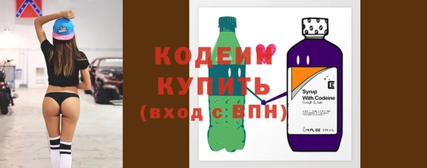 индика Богданович