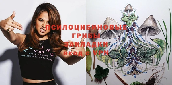дмт Бронницы