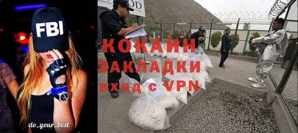 индика Богданович