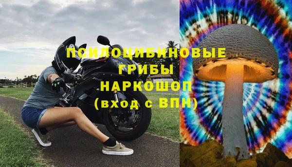 ПСИЛОЦИБИНОВЫЕ ГРИБЫ Богородицк